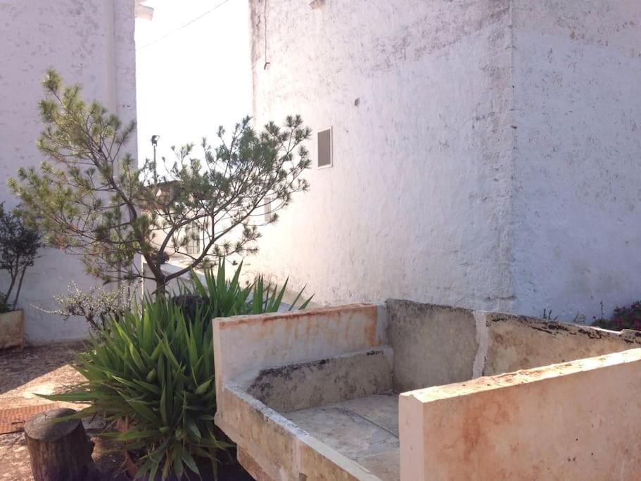 הוילה צ'יסטרנינו Casa Stella Nell'Aia מראה חיצוני תמונה