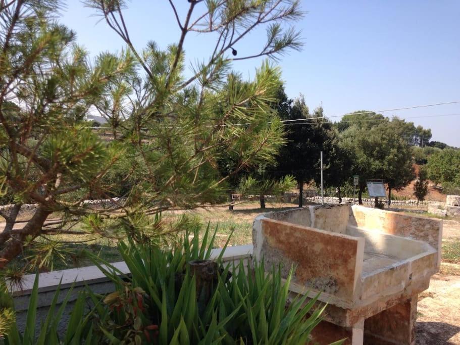 הוילה צ'יסטרנינו Casa Stella Nell'Aia מראה חיצוני תמונה